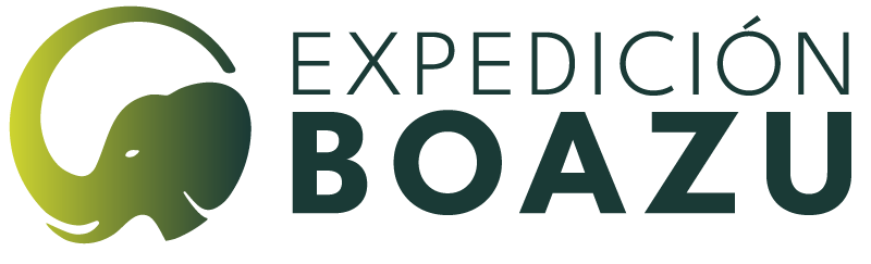 Imagotipo Expedición BOAZU en degradado