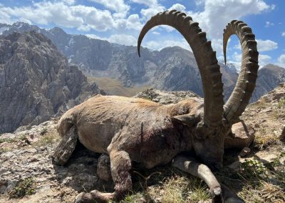Ibex en Kirguistán + obra original de Jorge Manzanares (100×81)
