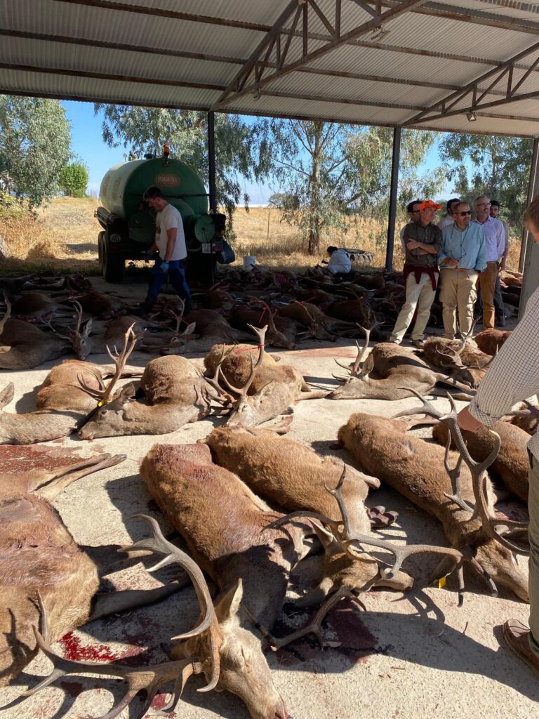 Montería con Espacaza en Expedición BOAZU I