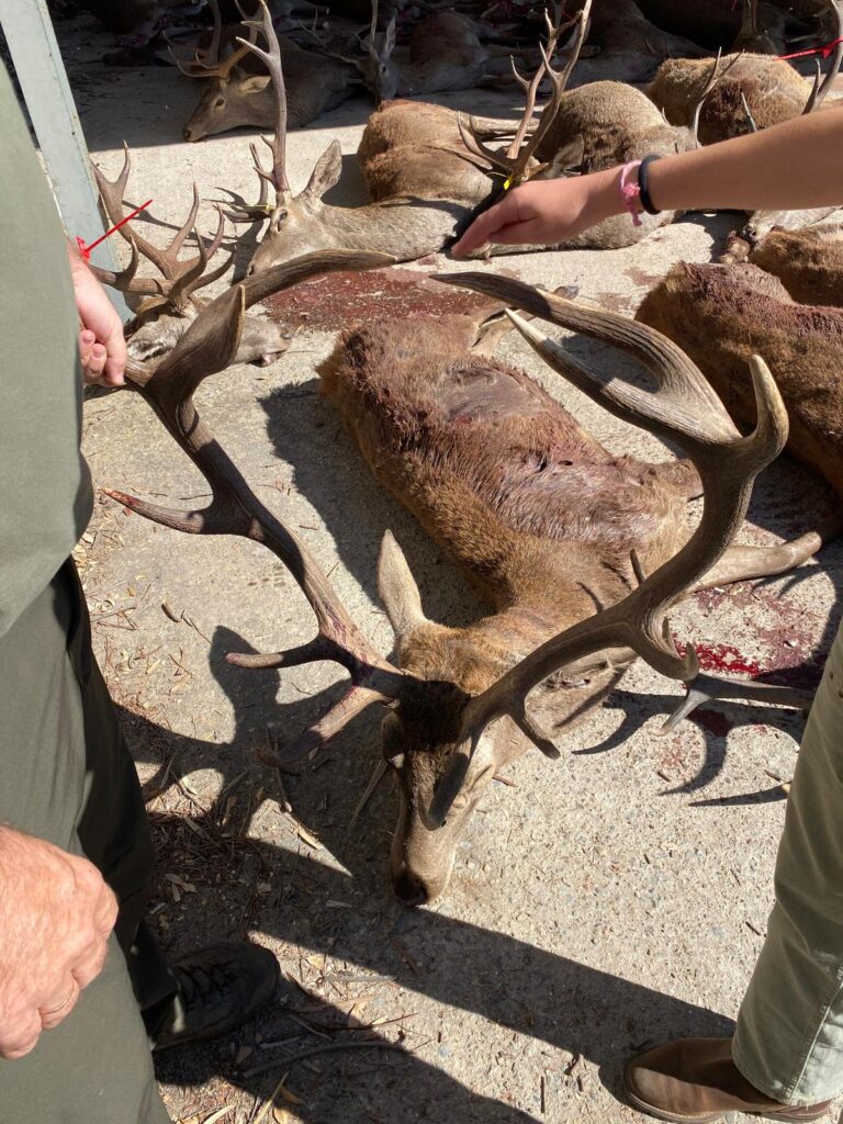 Montería con Espacaza en Expedición BOAZU I